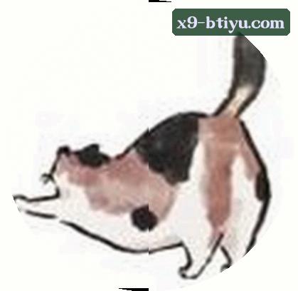 郑凯